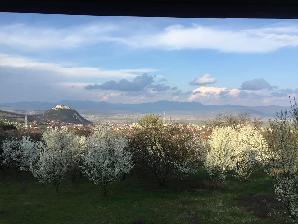 Hanu Lu Mos Opinca Deva Esterno foto